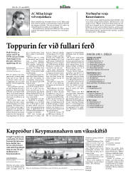 Síða 31