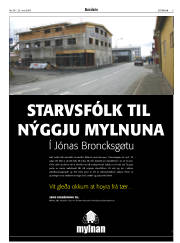 Síða 3