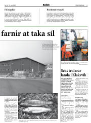 Síða 17