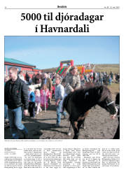 Síða 28
