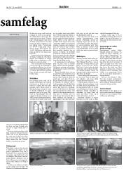 Síða 33