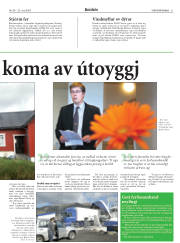 Síða 21