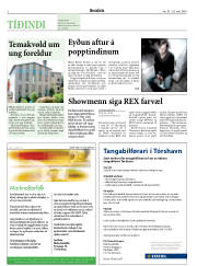 Síða 2