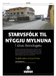 Síða 3
