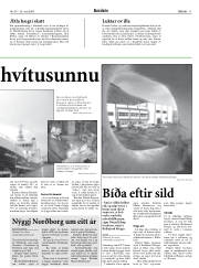 Síða 11