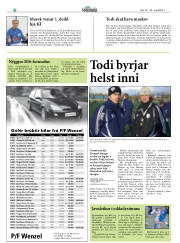 Síða 20