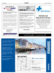 Síða 44