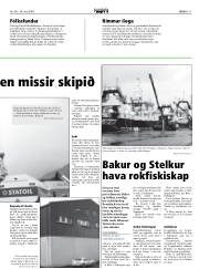 Síða 11