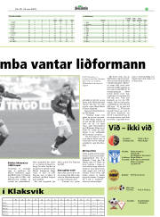 Síða 19