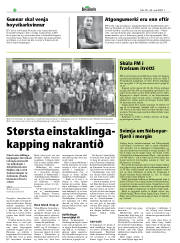 Síða 20