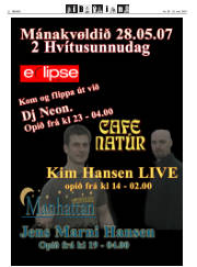 Síða 22