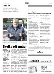 Síða 27