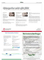 Síða 34