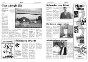 Síða 3