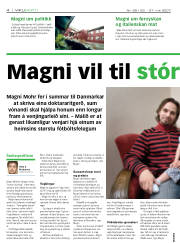 Síða 4