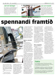 Síða 11