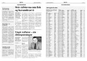 Síða 6
