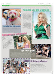 Síða 16