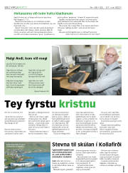 Síða 22