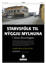 Síða 3