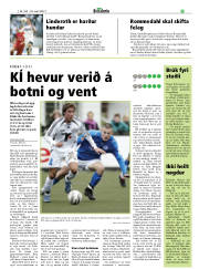 Síða 29