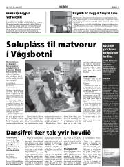 Síða 11