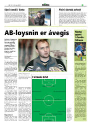 Síða 17