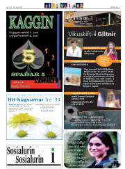 Síða 27