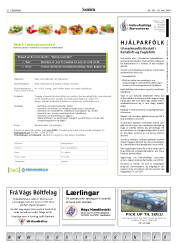 Síða 32