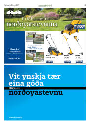 Síða 13