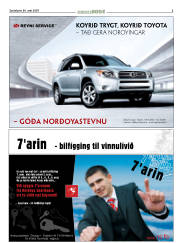 Síða 3