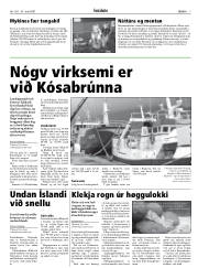 Síða 7
