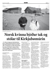 Síða 17