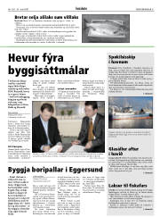 Síða 21