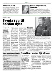Síða 11