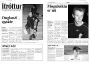 Síða 6