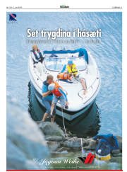 Síða 31