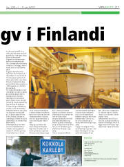 Síða 11