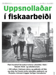 Síða 14