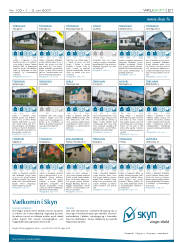 Síða 21