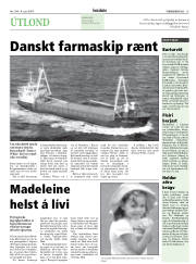 Síða 13