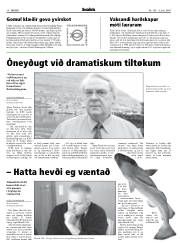 Síða 14
