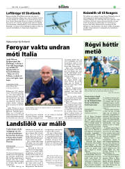 Síða 29