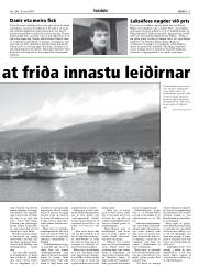 Síða 11