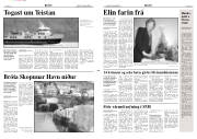 Síða 3