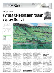 Síða 17