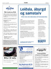 Síða 3