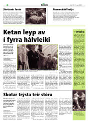 Síða 16