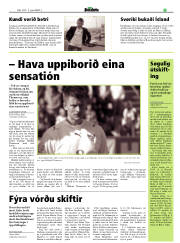 Síða 17