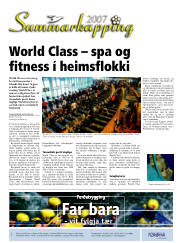 Síða 43